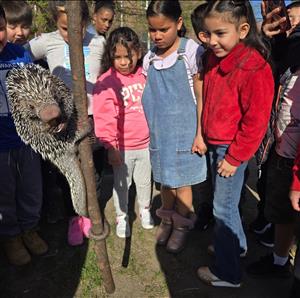 group of kids looking at a porcupine