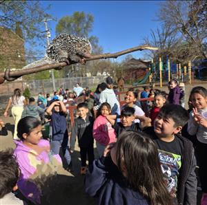 group of kids looking at a porcupine