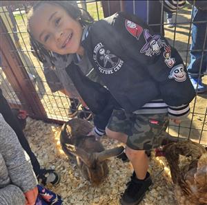 kid next to farm animals