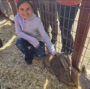 kid next to farm animals