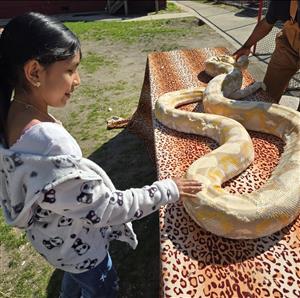 kid touching a large snack