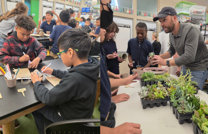  Students and volunteers working together to plant succulents. 