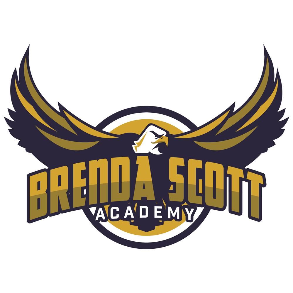 BSA Logo BSA Logo