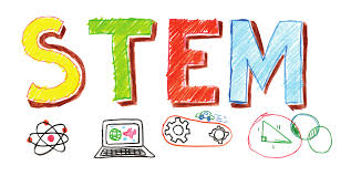  picture of the word Stem