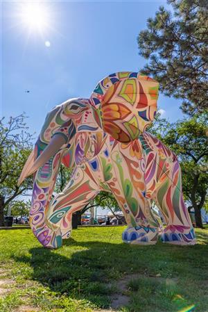 African World Festival