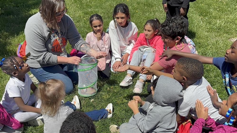  Students surround the butterfly netting to watch release