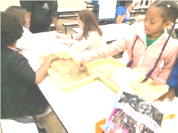 curriculum night 