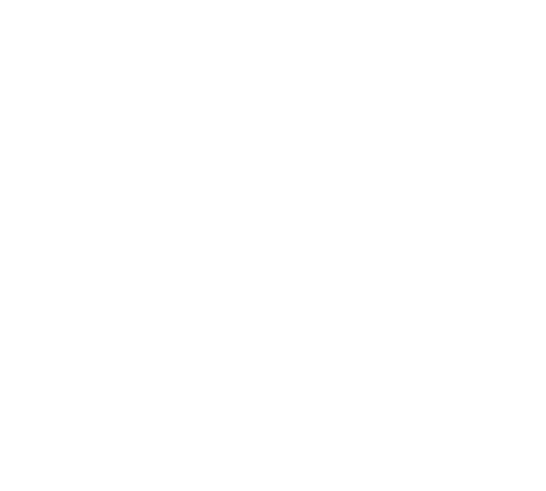 Emerson Elementary-Middle School logo