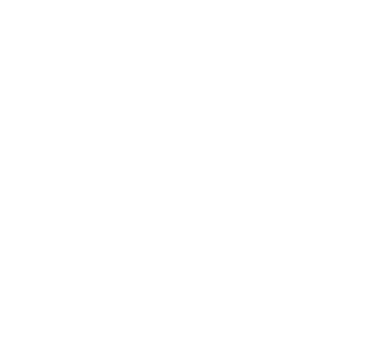Renaissance High School logo