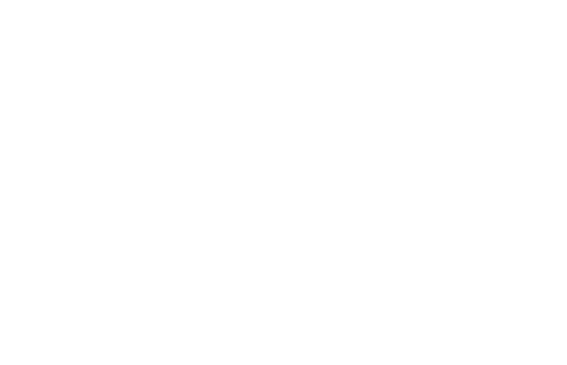 Turning Point Academy K-12 logo
